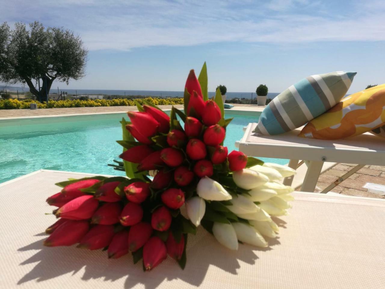 B&B Giglio Marino Сальве Экстерьер фото